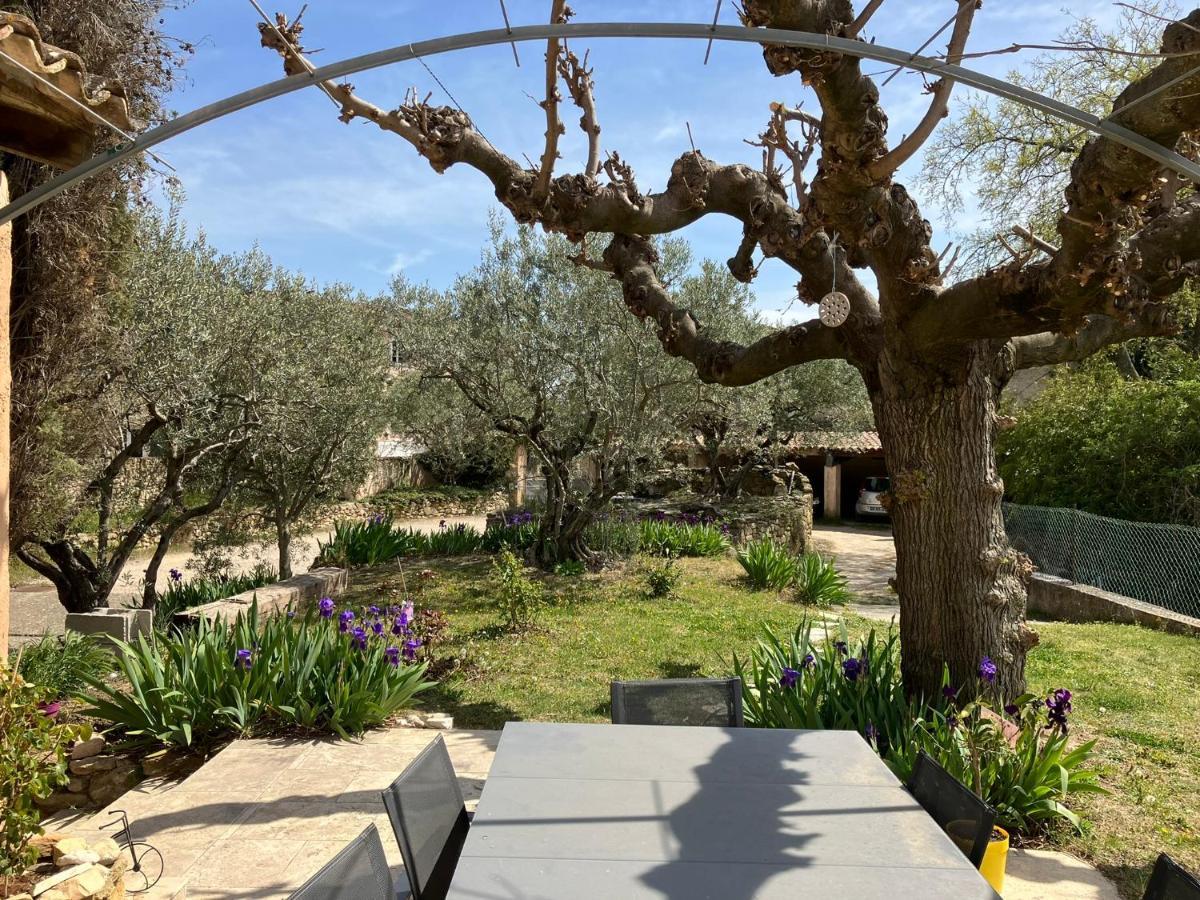 Chambre Avec Petit-Dejeuner En Provence Luberon La Tour-d'Aigues Екстер'єр фото